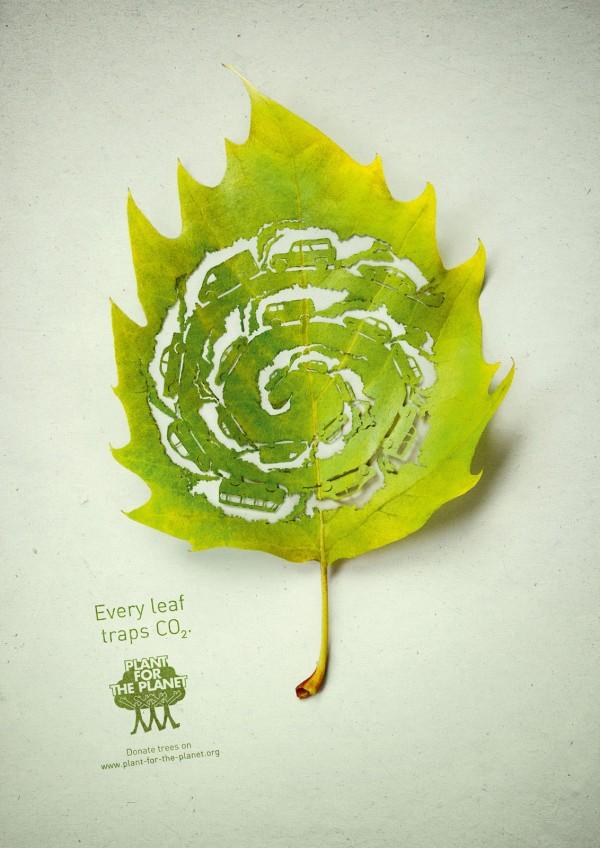 Plant for the planet: Traffic