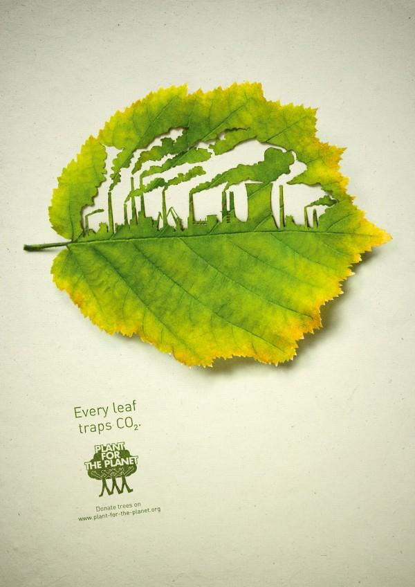 Plant for the planet: Traffic