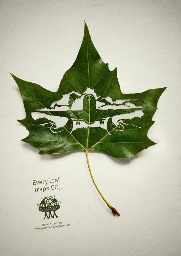 Plant for the planet: Traffic