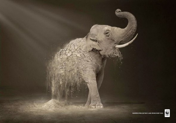 Strong And effective advertising By WWF