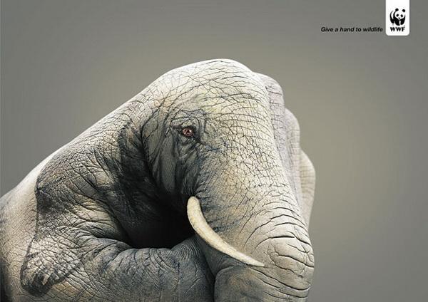 Strong And effective advertising By WWF