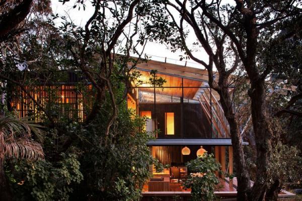 Under Pohutukawa Beach House
