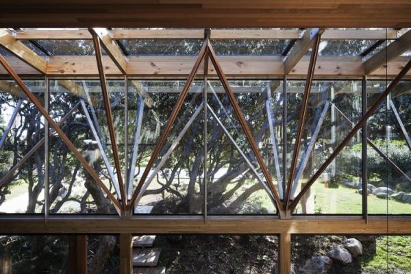 Under Pohutukawa Beach House