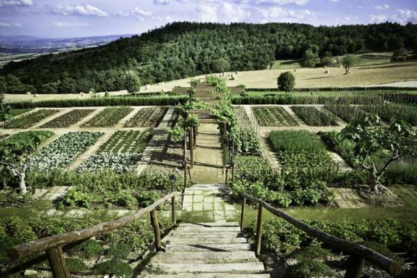 Beautiful Antique Villa In Italian Countryside