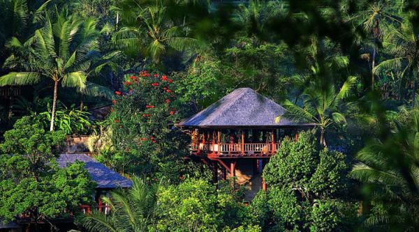 COMO SHAMBHALA ESTATE