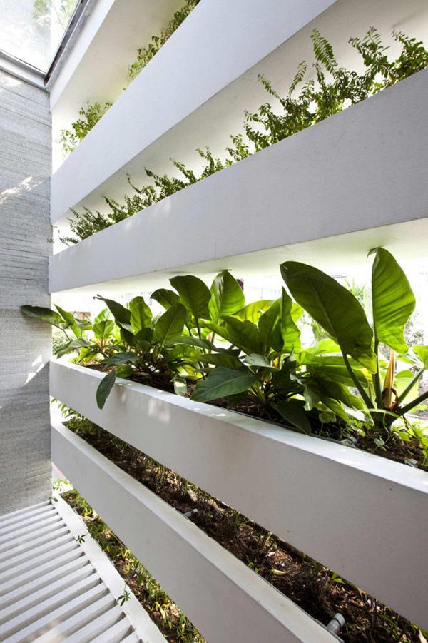Stacking Green House in Vietnam
