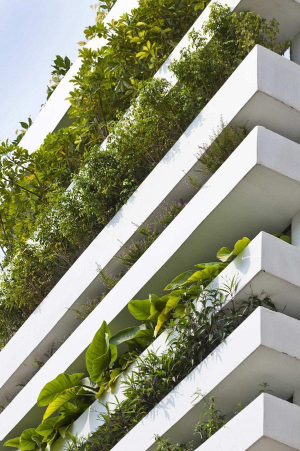 Stacking Green House in Vietnam