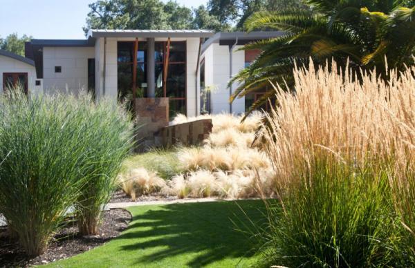Saratoga Creek House