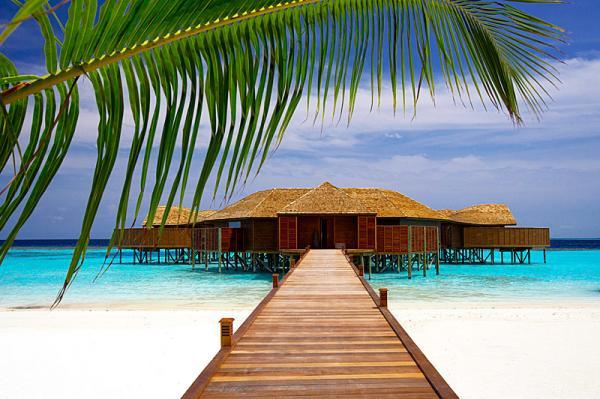 Lily Beach Resort