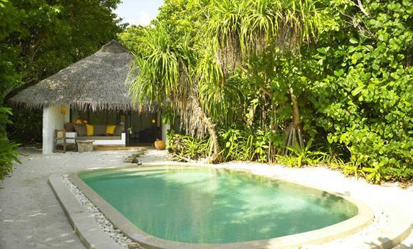 Vibrant Soneva Fushi Resort in Maldives