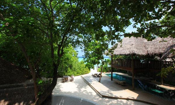 Vibrant Soneva Fushi Resort in Maldives