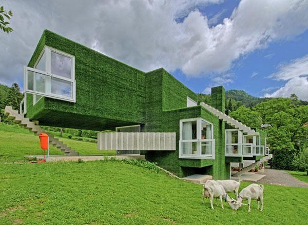 Grass-Covered Green Residence in Austria
