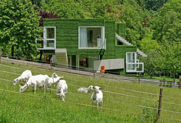 Grass-Covered Green Residence in Austria