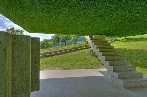 Grass-Covered Green Residence in Austria