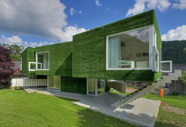 Grass-Covered Green Residence in Austria