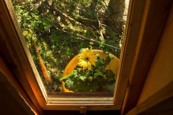 HemLoft Treehouse by Joel Allen