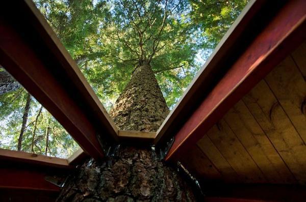 HemLoft Treehouse by Joel Allen