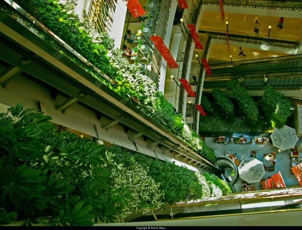 Vertical Gardens by Patrick Blanc