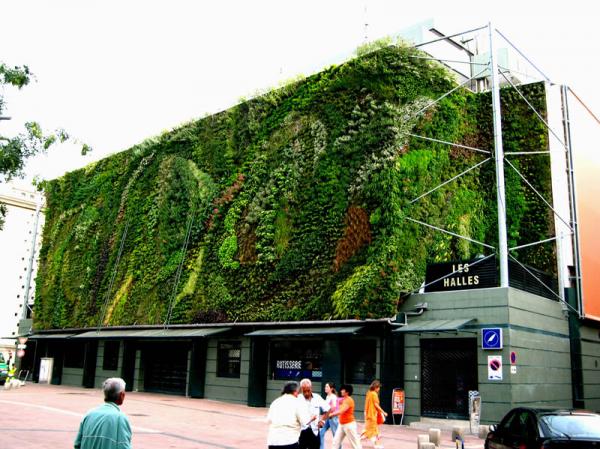 Vertical Gardens by Patrick Blanc