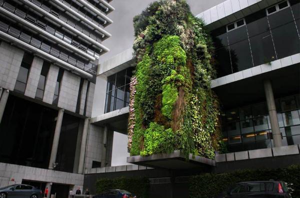 Vertical Gardens by Patrick Blanc