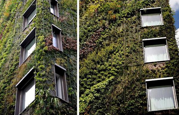 Vertical Gardens by Patrick Blanc