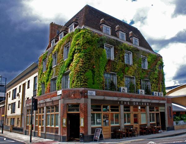 Vertical Gardens by Patrick Blanc