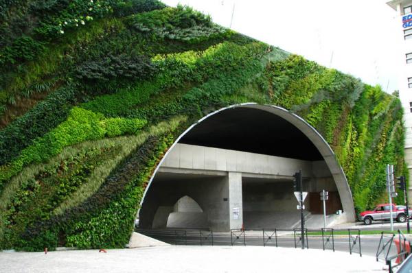 Vertical Gardens by Patrick Blanc