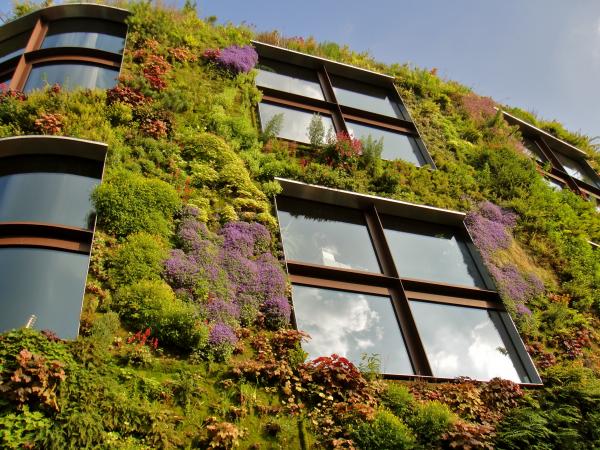 Vertical Gardens by Patrick Blanc