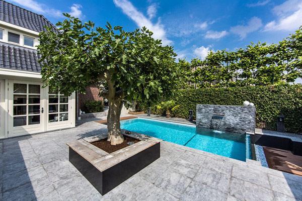 Aquatic Backyard of a Coastal Villa