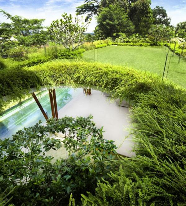The Willow House