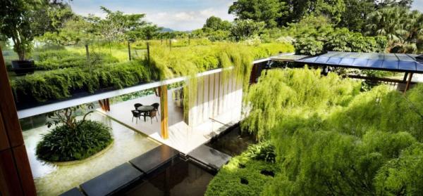 The Willow House