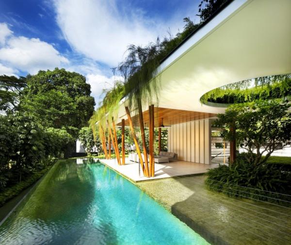 The Willow House