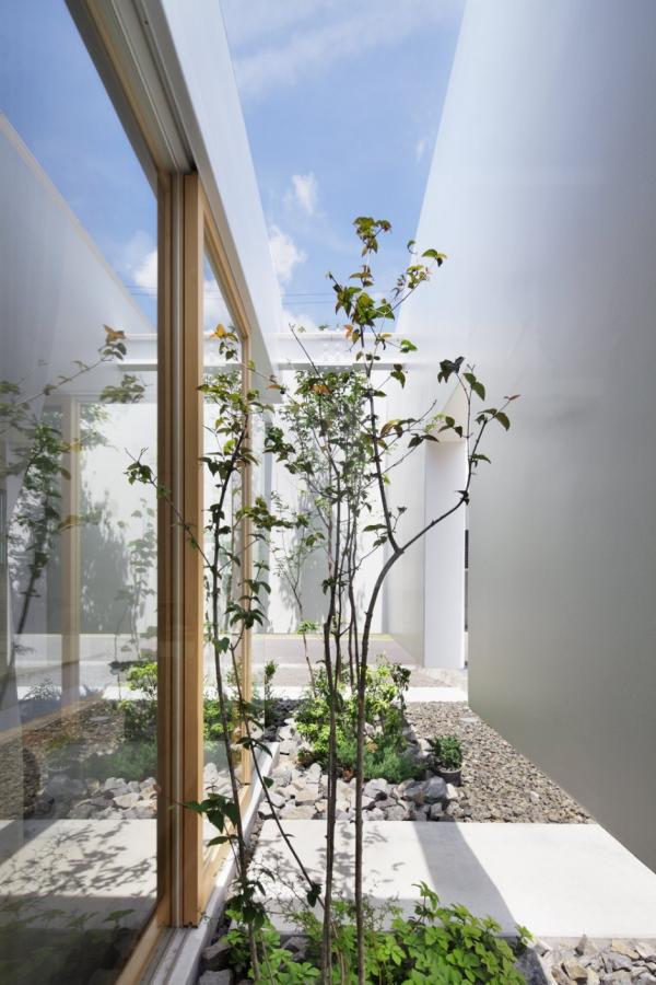 Green Edge House
