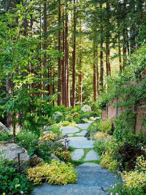 Mill Valley Cabins