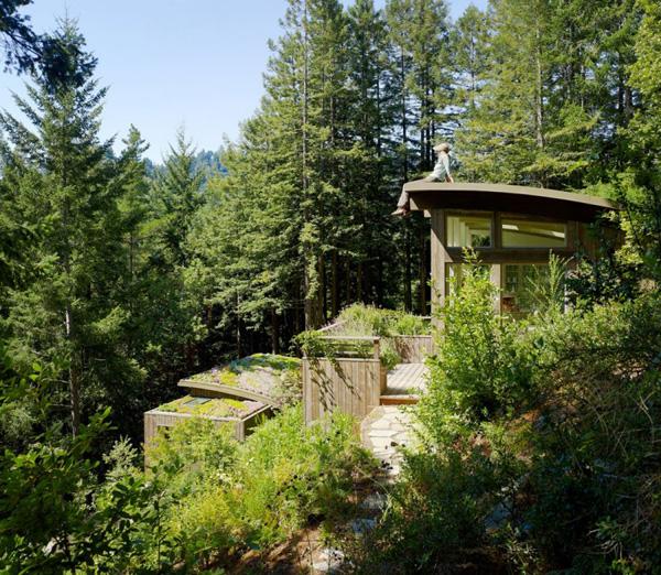 Mill Valley Cabins
