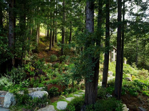 Mill Valley Cabins