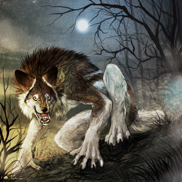 Amazing Artwork by tatchit