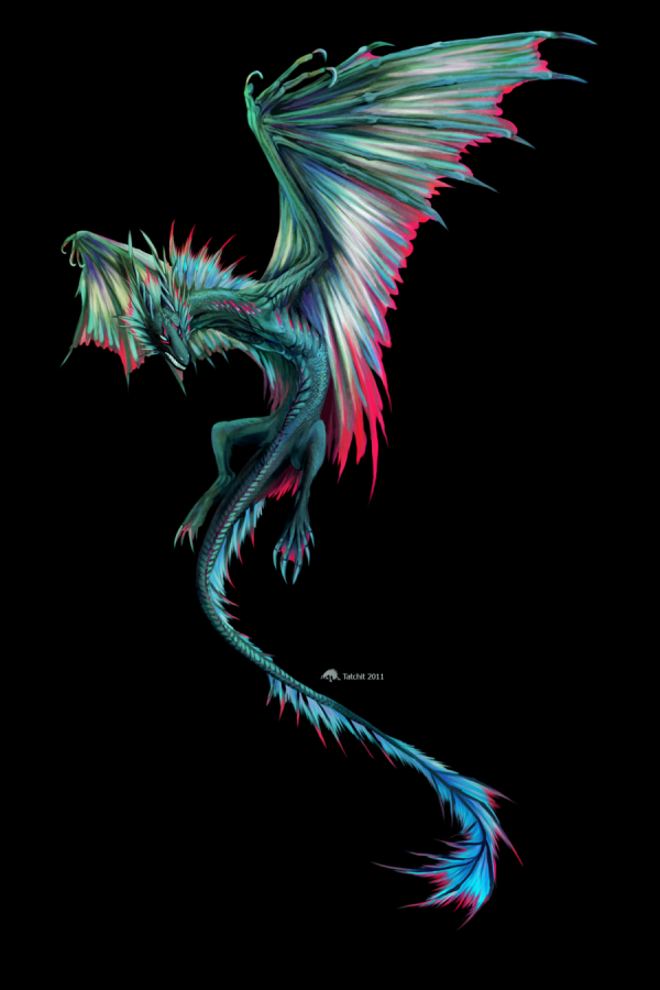 Amazing Artwork by tatchit