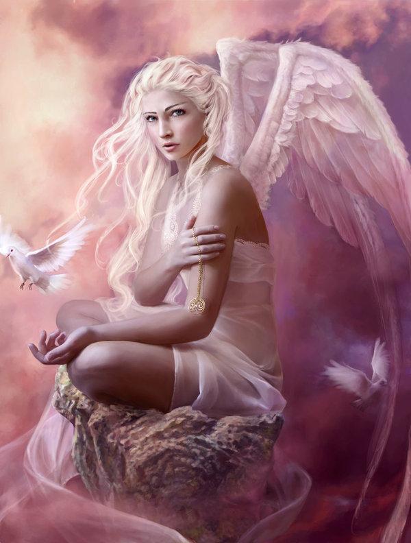 Beautiful illustrations by Marta Dahlig