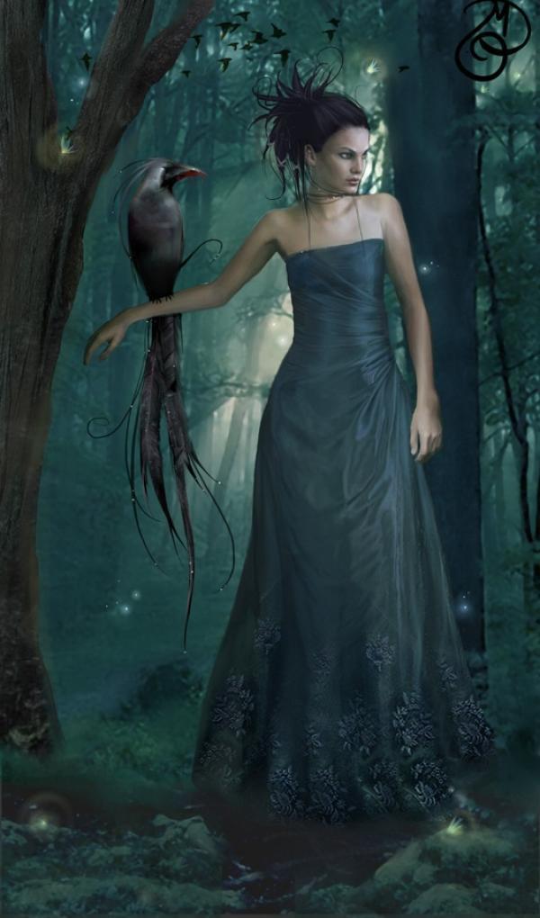 Beautiful illustrations by Marta Dahlig