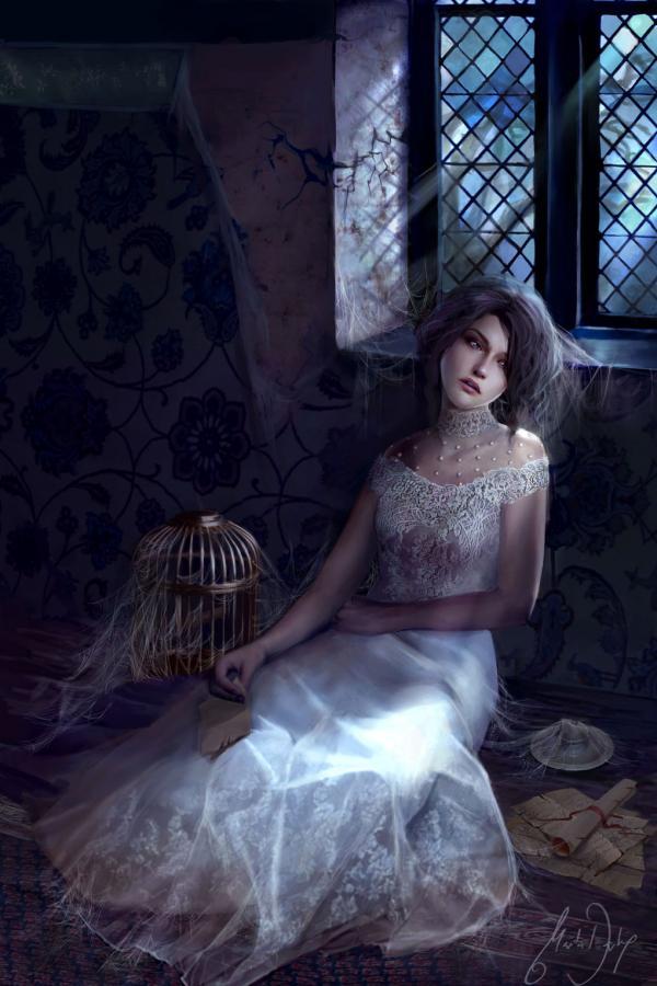Beautiful illustrations by Marta Dahlig