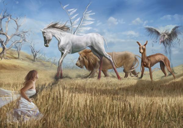 Beautiful illustrations by Marta Dahlig