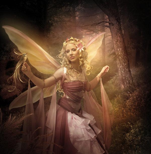 Photo manipulations by Elena Dudina