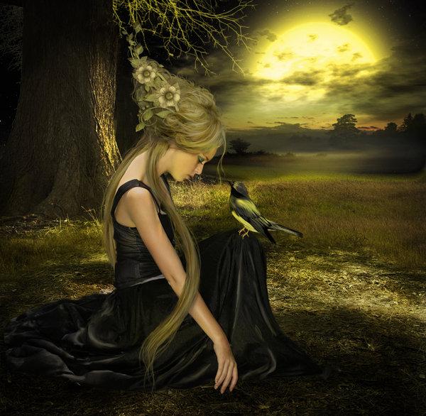 Photo manipulations by Elena Dudina
