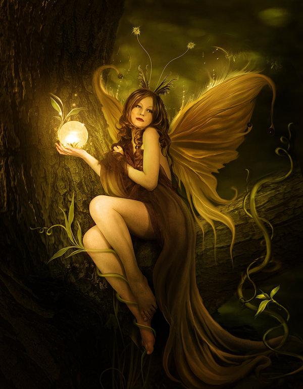 Photo manipulations by Elena Dudina