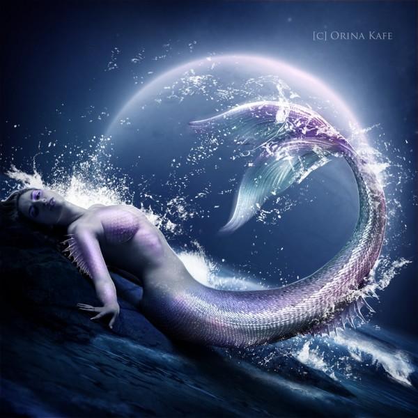 Digital Art by Orina