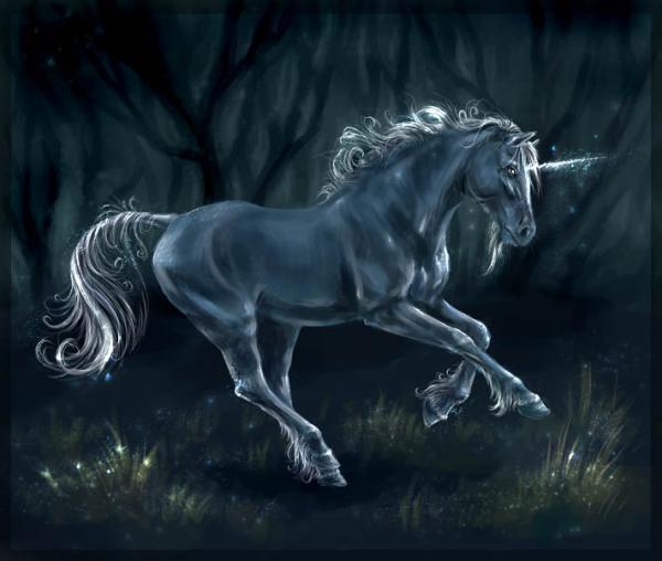 Horse Digital Paintings by Snow Skadi