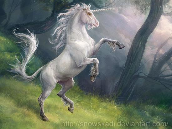 Horse Digital Paintings by Snow Skadi