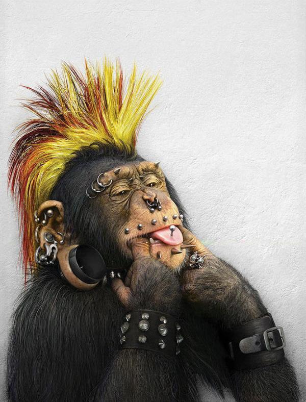 Monkey Characters by Julia Malanina