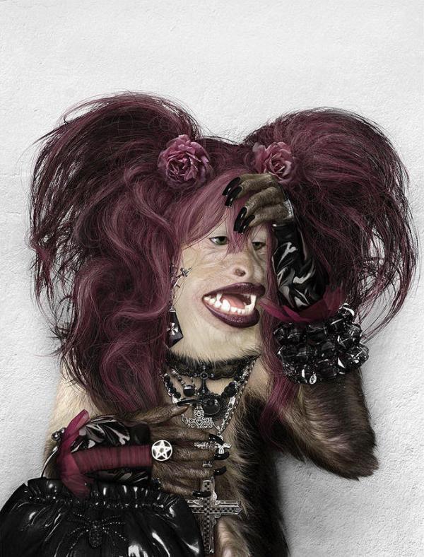 Monkey Characters by Julia Malanina
